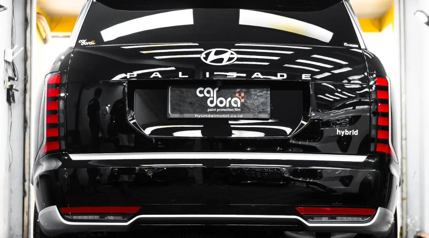 Hyundai Palisade detailing result